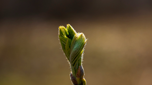 Redefining Resilience: Letting Go of the Weight